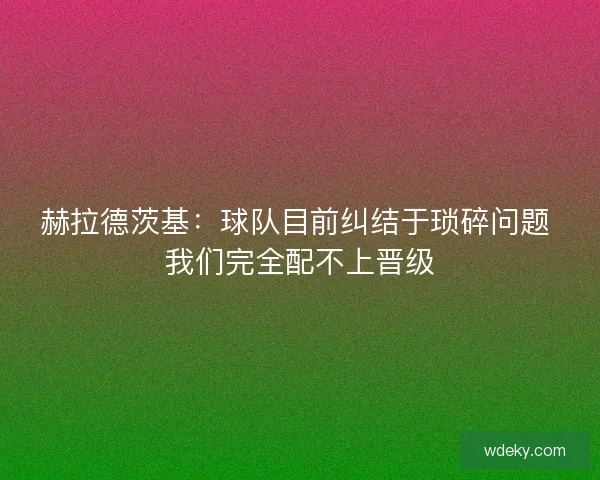 赫拉德茨基：球队目前纠结于琐碎问题 我们完全配不上晋级
