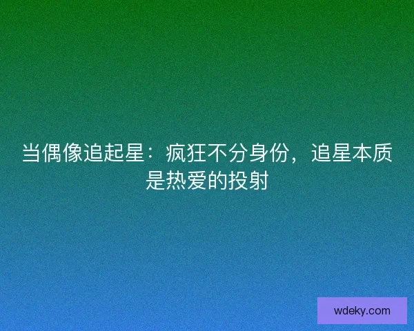 当偶像追起星：疯狂不分身份，追星本质是热爱的投射