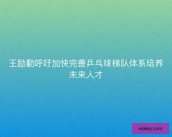 王励勤呼吁加快完善乒乓球梯队体系培养未来人才