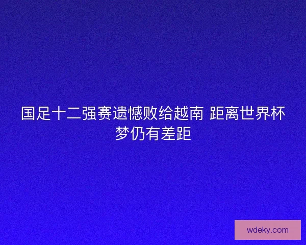 国足十二强赛遗憾败给越南 距离世界杯梦仍有差距